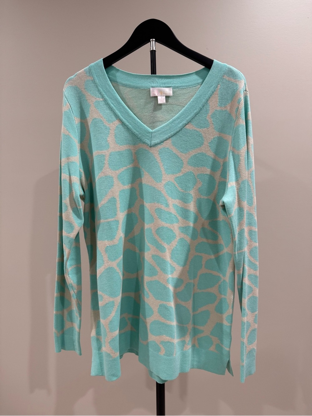 Belle by Kim Gravel Aqua and Cream Animal-Pattern V-Neck Sweater